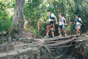 BIB: 
                            <button type="button" onclick="openModal(27743764)" class="btn btn-primary btn-sm float-right btn-popup" data-toggle="modal" data-target=".modal-high-quality">
                        <i class="fas fa-shopping-cart"></i> Add to Cart
                    </button>
                                            <button type="button" onclick="isThisMe(27743764, true)" class="btn btn-success btn-sm float-right btn-popup btn-isme hidden" data-toggle="tooltip" data-placement="bottom" title="นี่คือรูปของคุณใช่ไหม คลิกที่นี่เพื่อเอาเข้าอัลบั้ม">
                        <i class="fas fa-plus"></i> Add to album
                    </button>
                    <button type="button" onclick="isThisMe(27743764, false)" class="btn btn-warning btn-sm float-right btn-popup btn-isnotme hidden">
                        <i class="fas fa-ban"></i> Remove from album
                    </button>